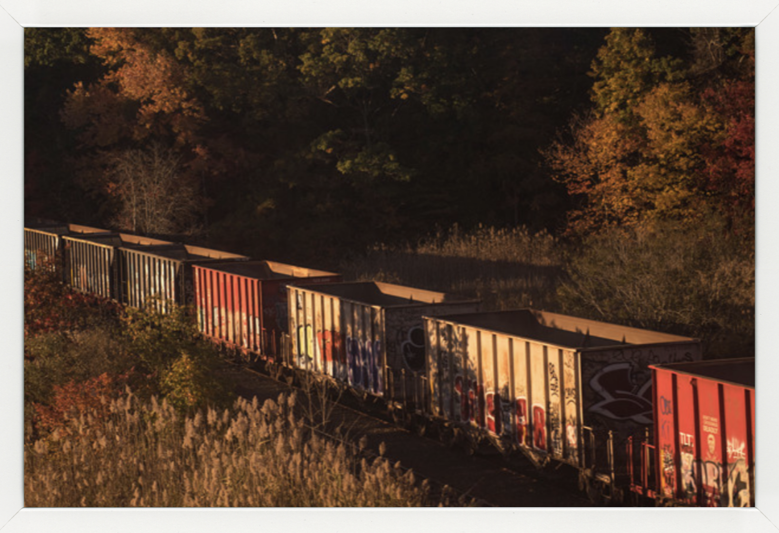 4 Original Framed Photographs by NYC Photographer Ashley Garrett - image 3